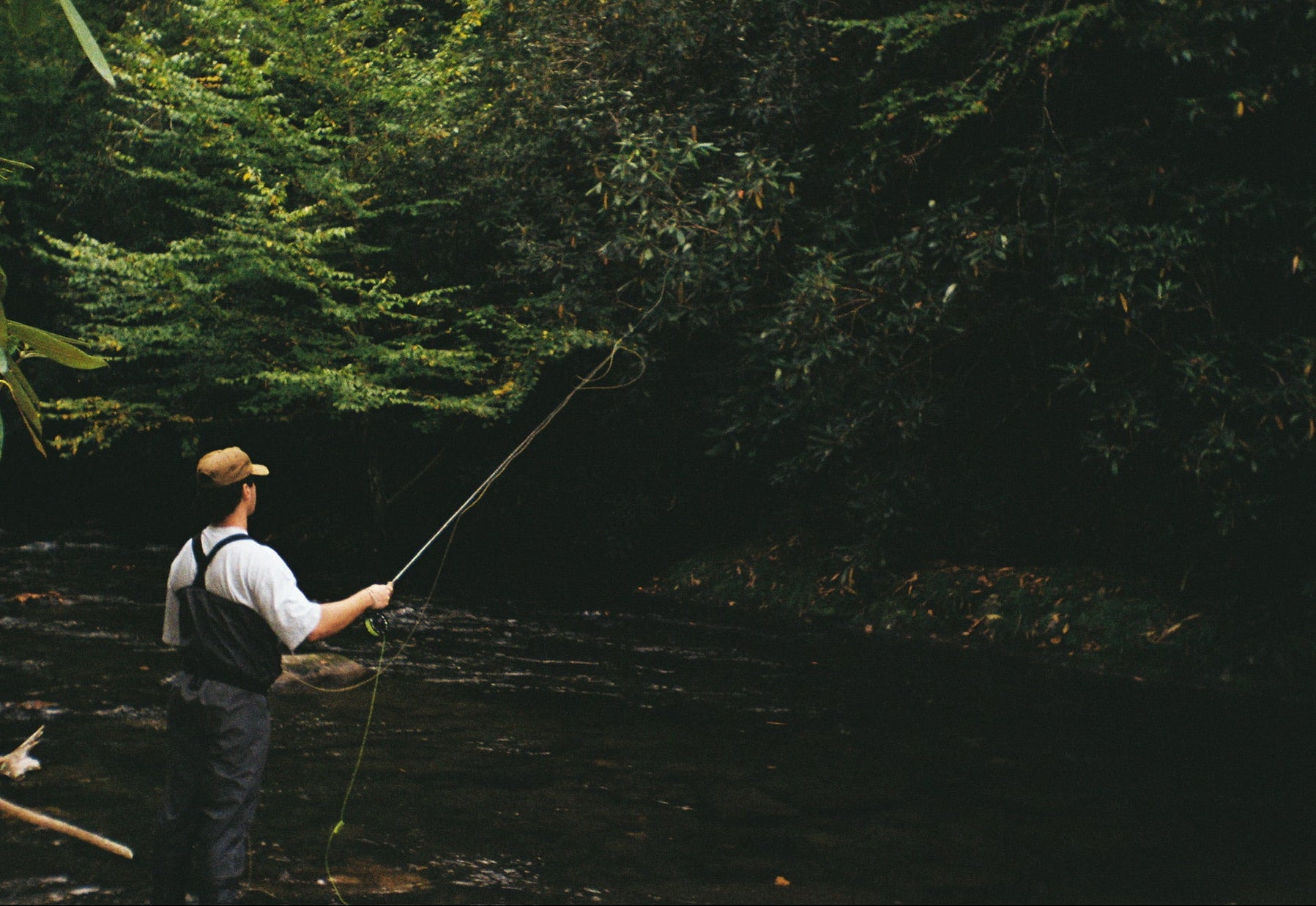 Man fly fishing in a forested area with trees and water.